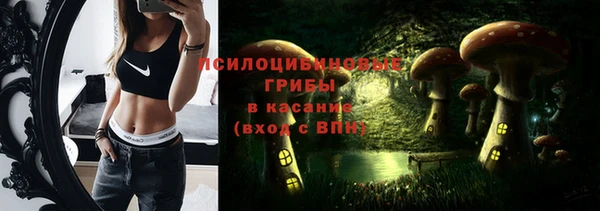 apvp Алзамай