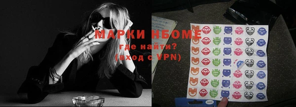 прущие грибы Абинск