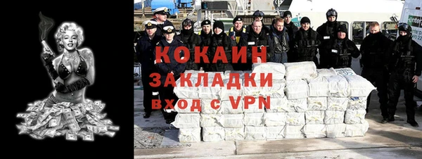 прущие грибы Абинск