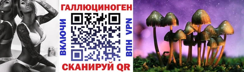Псилоцибиновые грибы Cubensis  купить закладку  Среднеколымск 