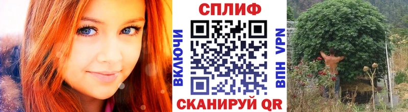 Канабис сатива  закладка  блэк спрут сайт  Среднеколымск 